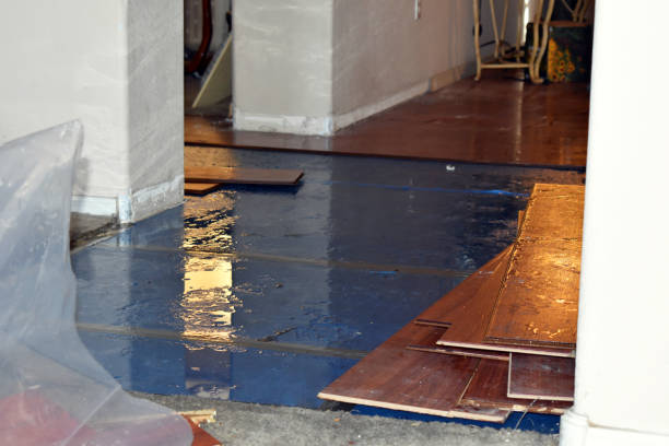Professional Water Damage Restoration technician working in Troy, MO